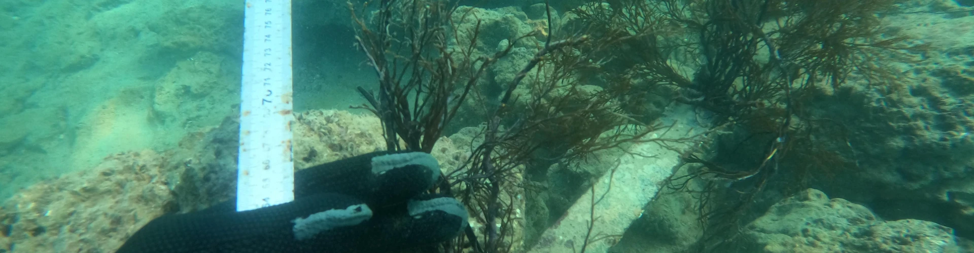 Benefits of Investing in Ocean Research and Environmental Protection
