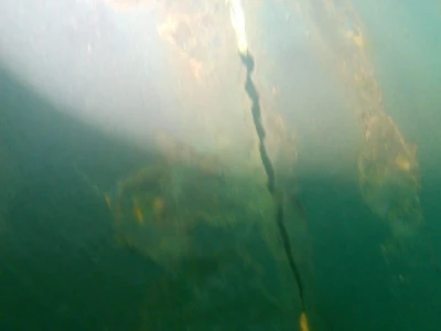 REFLOATING FLOATING DOCK "SORENA"