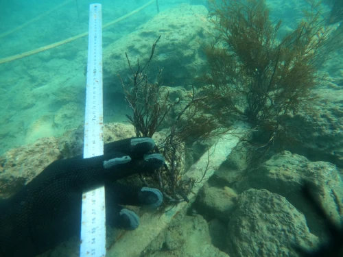 Marine Environmental Protection Services